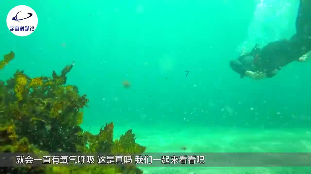 员工工作积极性不足的原因有哪些？游戏画面